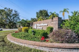 19607 WYNDHAM LAKES DRIVE, ODESSA, FL 33556 - MLS#MFRTB8466435