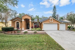 19607 WYNDHAM LAKES DRIVE, ODESSA, FL 33556 - MLS#MFRTB8466435