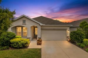 15133 CARAVAN AVENUE, ODESSA, FL 33556 - MLS#MFRTB8466444