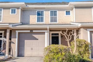 8208 Downpatrick Ct, TAMPA 8208 Downpatrick Ct, TAMPA