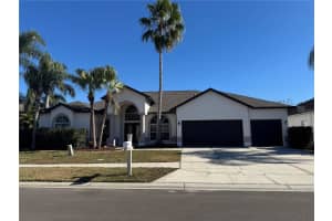 28724 Hanging Moss Loop, WESLEY CHAPEL 28724 Hanging Moss Loop, WESLEY CHAPEL