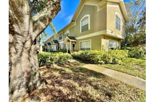 2879 THAXTON DRIVE, PALM HARBOR, FL 34684 - MLS#MFRTB8466501