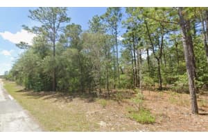 2795 RUTLAND DRIVE, CITRUS SPRINGS, FL 34433 - MLS#MFRTB8466527