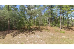 2795 RUTLAND DRIVE, CITRUS SPRINGS, FL 34433 - MLS#MFRTB8466527