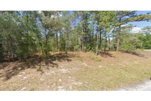 2795 RUTLAND DRIVE, CITRUS SPRINGS, FL 34433 - MLS#MFRTB8466527