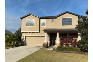 8206 SUMMER BROOK COURT, LAND O LAKES, FL 34638 - MLS#MFRTB8466535