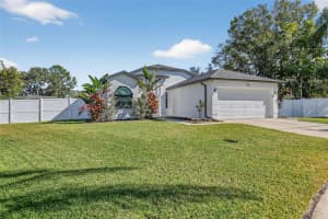 850 CHRISTINA CIRCLE, OLDSMAR, FL 34677 - MLS#MFRTB8466541