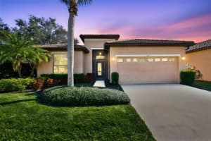 250 SILVER FALLS DRIVE, APOLLO BEACH, FL 33572 - MLS#MFRTB8466559