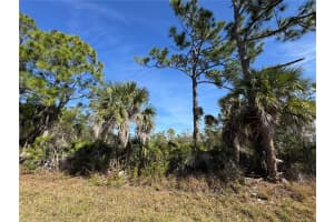 3110 GILLOT BOULEVARD, PORT CHARLOTTE, FL 33981 - MLS#MFRTB8466575