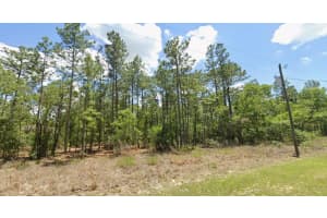 9409 FAIRY LILLY DRIVE, CITRUS SPRINGS, FL 34433 - MLS#MFRTB8466577