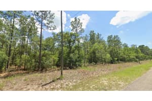 9409 FAIRY LILLY DRIVE, CITRUS SPRINGS, FL 34433 - MLS#MFRTB8466577