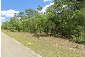 9409 FAIRY LILLY DRIVE, CITRUS SPRINGS, FL 34433 - MLS#MFRTB8466577