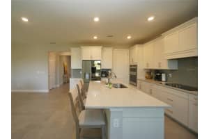 22990 SCAGLIONE DRIVE, LUTZ, FL 33549 - MLS#MFRTB8466589