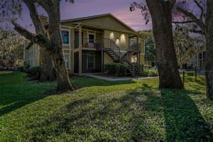 14312 HANGING MOSS CIRCLE, TAMPA, FL 33613 - MLS#MFRTB8466595