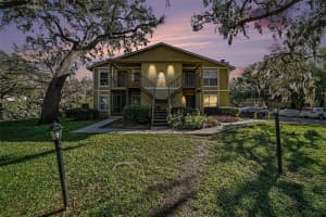 14312 HANGING MOSS CIRCLE, TAMPA, FL 33613 - MLS#MFRTB8466595