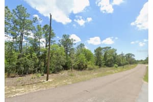 9313 HAWKWEED DRIVE, CITRUS SPRINGS, FL 34433 - MLS#MFRTB8466607