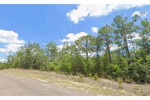 9313 HAWKWEED DRIVE, CITRUS SPRINGS, FL 34433 - MLS#MFRTB8466607