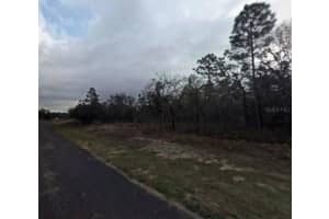 9075 MARCUS WAY, CITRUS SPRINGS, FL 34433 - MLS#MFRTB8466626