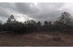 9075 MARCUS WAY, CITRUS SPRINGS, FL 34433 - MLS#MFRTB8466626