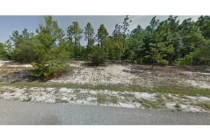 3499 WEBSTER PLACE, CITRUS SPRINGS, FL 34433 - MLS#MFRTB8466635