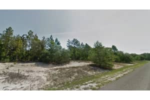 3499 WEBSTER PLACE, CITRUS SPRINGS, FL 34433 - MLS#MFRTB8466635