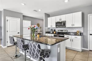 33608 BARBERRY LEAF, WESLEY CHAPEL, FL 33543 - MLS#MFRTB8466640