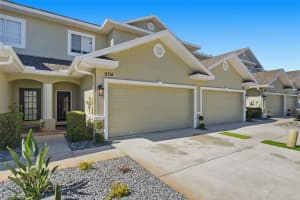 9718 TAYLOR ROSE LANE, SEMINOLE, FL 33777 - MLS#MFRTB8466644