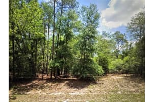 9819 PEWTER AVENUE, DUNNELLON, FL 34434 Sold 02/27/26