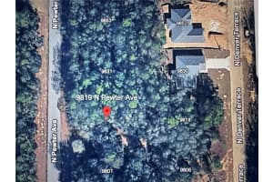 9819 PEWTER AVENUE, DUNNELLON, FL 34434 Sold 02/27/26