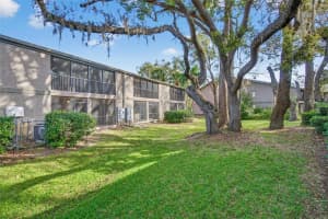 4207 WINDING MOSS TRAIL, TAMPA, FL 33613 - MLS#MFRTB8466675