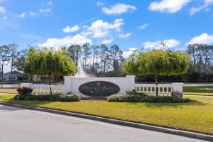 1237 RAMBLING VINE COURT, TRINITY, FL 34655 - MLS#MFRTB8466679