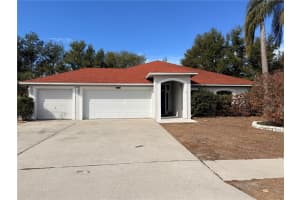 11313 ANDY DRIVE, RIVERVIEW, FL 33569 - MLS#MFRTB8466686