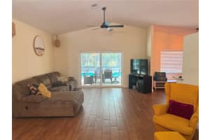 11313 ANDY DRIVE, RIVERVIEW, FL 33569 - MLS#MFRTB8466686