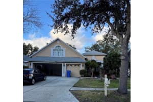 10209 Shadow Branch Dr, TAMPA