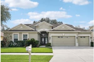 12606 River Birch Dr, RIVERVIEW