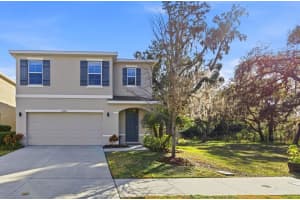 12403 Pagoda Pl, TAMPA