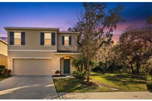12403 PAGODA PLACE, TAMPA, FL 33637 - MLS#MFRTB8466711