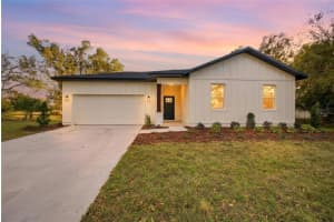 1505 LAURA STREET, PLANT CITY, FL 33563 - MLS#MFRTB8466713