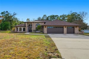 11290 Orangewood Ct, SPRING HILL