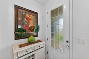 17019 VILESTA DRIVE, LUTZ, FL 33548 - MLS#MFRTB8466759