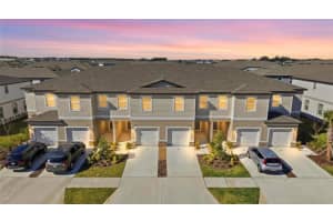 10149 TRUMPET HONEYSUCKLE WAY, SAN ANTONIO, FL 33576 - MLS#MFRTB8466767