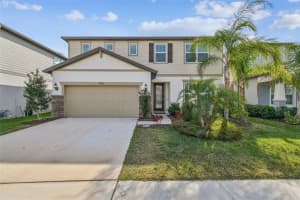 14161 HAMMOCK CREST WAY, RIVERVIEW, FL 33569 - MLS#MFRTB8466782
