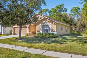 12705 Westwood Lakes Blvd, TAMPA