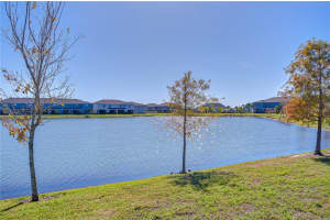 219 MANGROVE SHADE CIRCLE, APOLLO BEACH, FL 33572 - MLS#MFRTB8466813