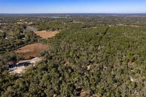 9735 MALLARD DRIVE, INVERNESS, FL 34450 - MLS#MFRTB8466828