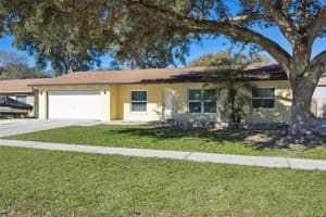 1255 FOGGY RIDGE PARKWAY, LUTZ, FL 33559 - MLS#MFRTB8466830