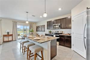 8367 ENDER HILLS DRIVE, WESLEY CHAPEL, FL 33545 - MLS#MFRTB8466836