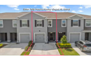 33064 TULIP PETAL LANE, WESLEY CHAPEL, FL 33545 - MLS#MFRTB8466843