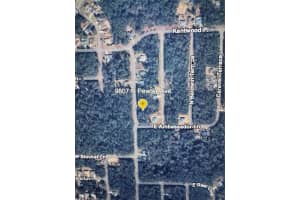 9807 PEWTER AVENUE, DUNNELLON, FL 34434 Sold 02/27/26