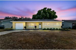 145 Avon Dr, SAFETY HARBOR